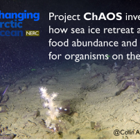 UK scientists track environmental change on the seafloor of Europe’s Arctic backyard, the Barents Sea