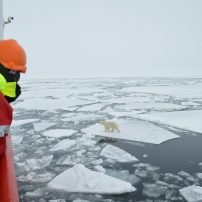 Vegan at Sea-gan: The Arctic Ocean